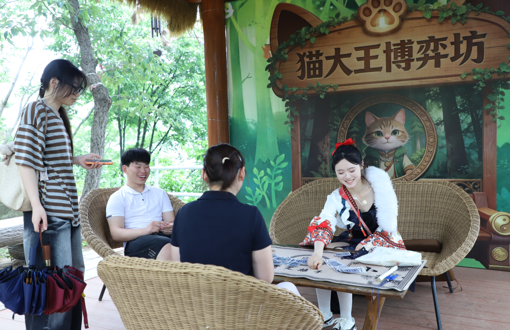 产业帮扶｜在21℃的云蒙里，做一日森林里的“溯溪小孩”