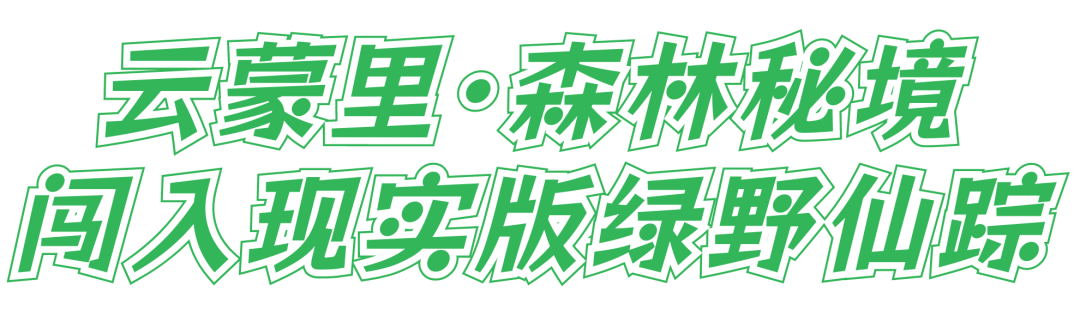 产业帮扶｜在21℃的云蒙里，做一日森林里的“溯溪小孩”