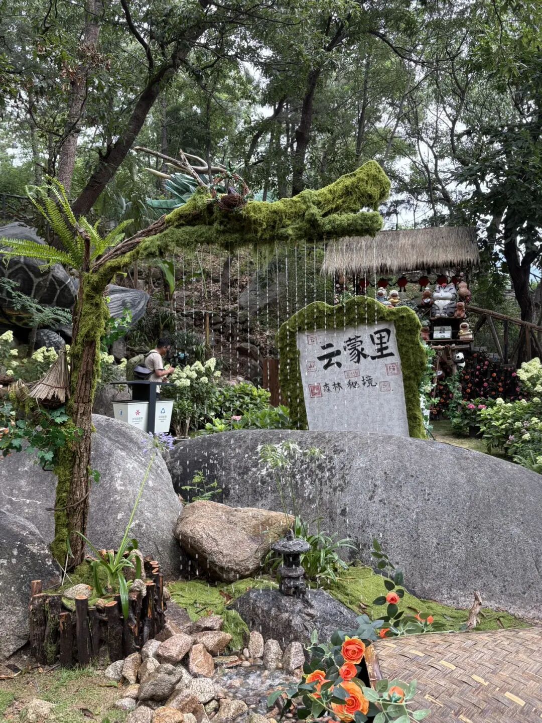 产业帮扶｜在21℃的云蒙里，做一日森林里的“溯溪小孩”