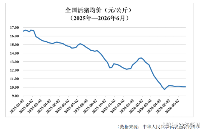 牧原养猪半年亏60亿，杀猪生意却偷偷赚钱了