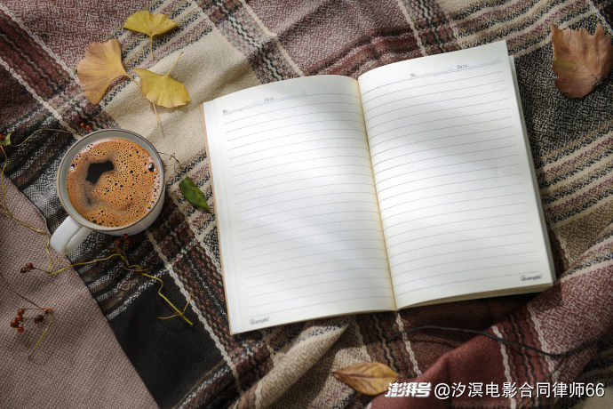 综艺节目的法律定性:从“录像制品”到“视听作品”的司法转向