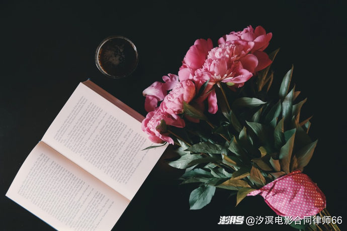 综艺节目的法律定性:从“录像制品”到“视听作品”的司法转向