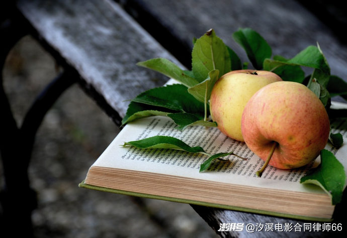 综艺节目的法律定性:从“录像制品”到“视听作品”的司法转向