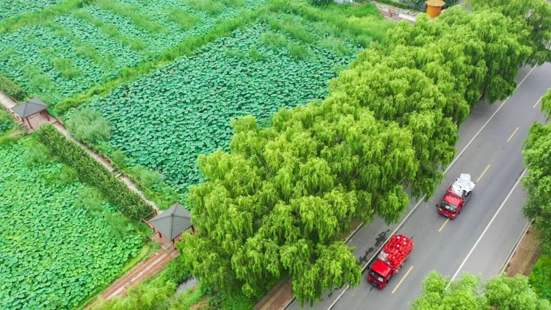 行在济南 游在路上丨农村公路铺就“路景相融”新画卷