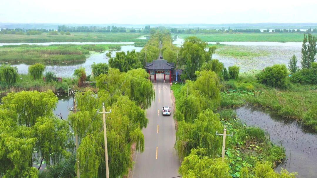 行在济南 游在路上丨农村公路铺就“路景相融”新画卷