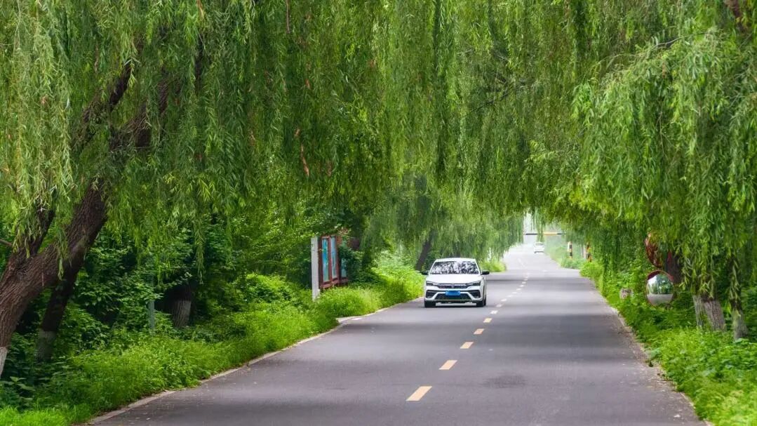 行在济南 游在路上丨农村公路铺就“路景相融”新画卷