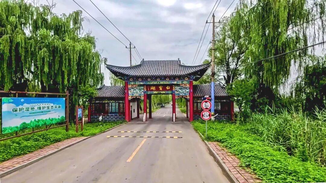 行在济南 游在路上丨农村公路铺就“路景相融”新画卷