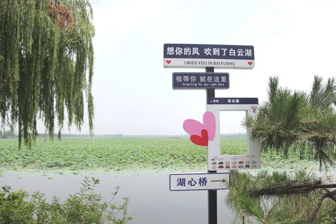 行在济南 游在路上丨农村公路铺就“路景相融”新画卷