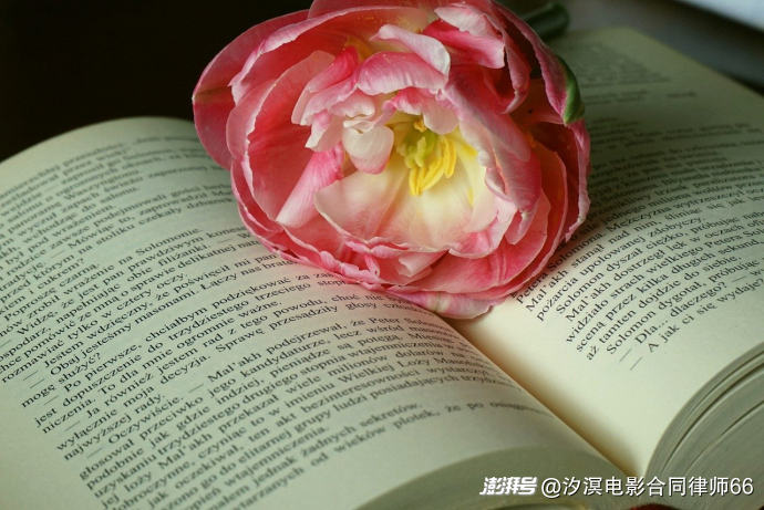 “合格通知”到手后:平台拖延处理为何直接被推定为“明知”?