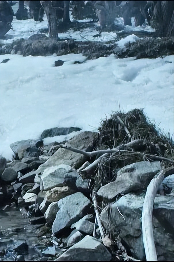 《人世间》《冰雪尖刀连》取景地！白山自驾，一路都是电影画面