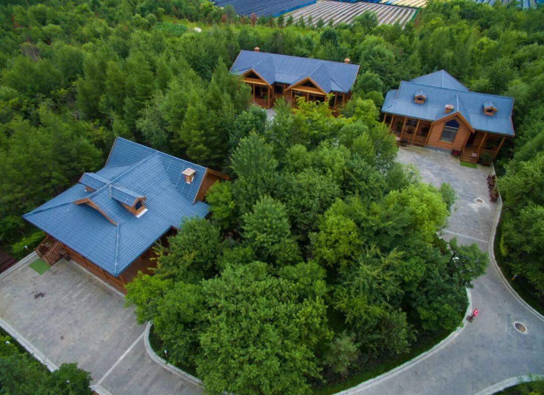 《人世间》《冰雪尖刀连》取景地！白山自驾，一路都是电影画面