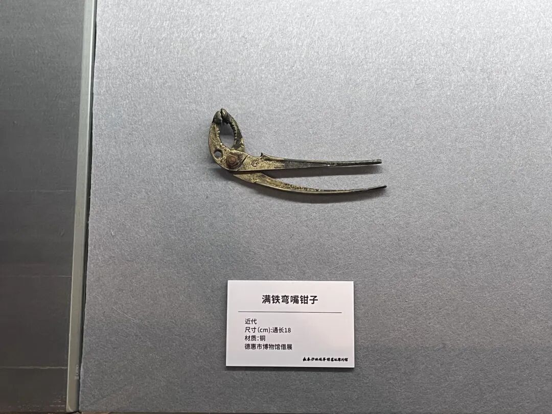 免费展览+1！正在展出！