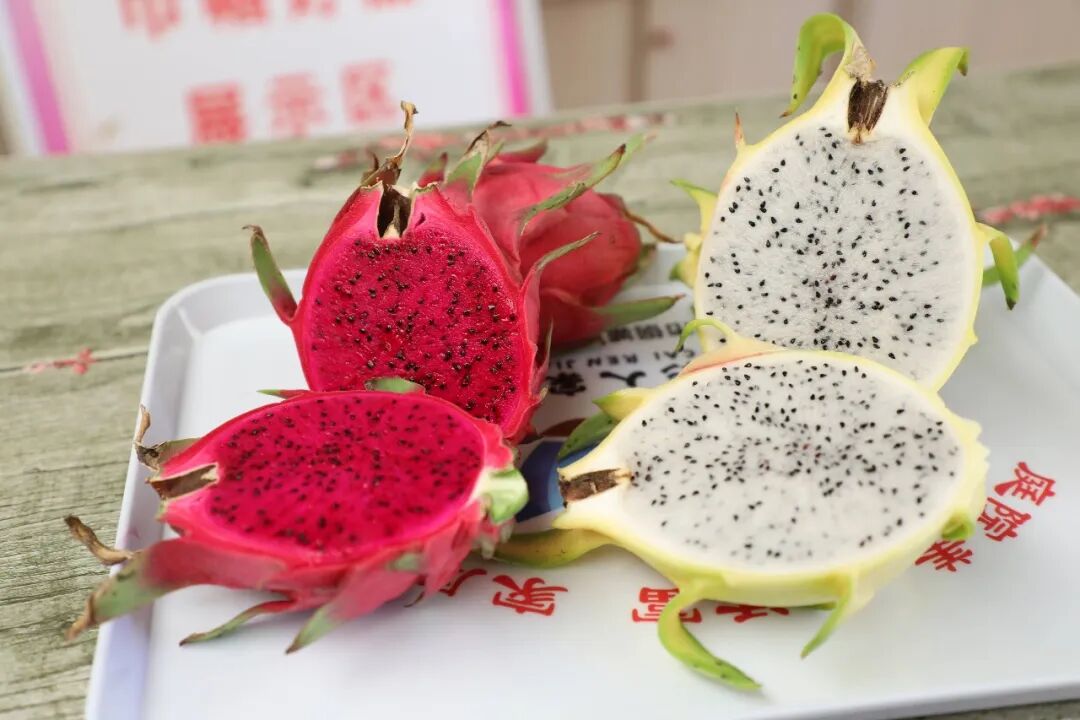 钢城秋日采摘正当时!枝头满溢香甜,赴一场田园之约