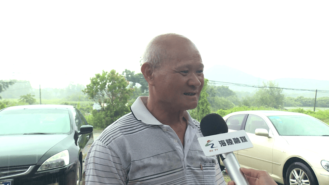 【百千万工程】闸坡镇百亩番薯滞销 爱心接力消费助农