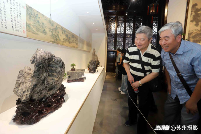 2026狮子林全国赏石精品邀请展暨苏州园林书画艺术展启幕