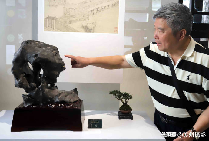 2026狮子林全国赏石精品邀请展暨苏州园林书画艺术展启幕