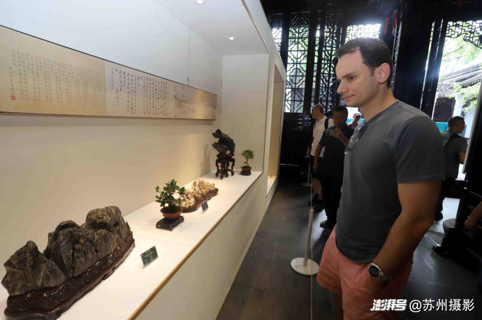 2026狮子林全国赏石精品邀请展暨苏州园林书画艺术展启幕