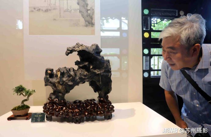 2026狮子林全国赏石精品邀请展暨苏州园林书画艺术展启幕