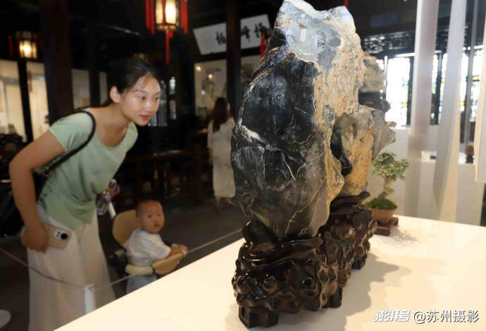 2026狮子林全国赏石精品邀请展暨苏州园林书画艺术展启幕