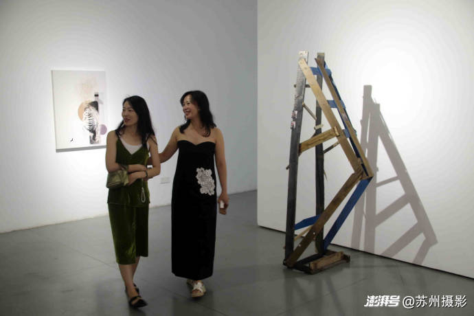 苏州:青年女画家梁梦涵艺术作品展在梵融美术馆开展