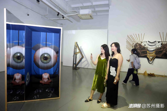 苏州:青年女画家梁梦涵艺术作品展在梵融美术馆开展
