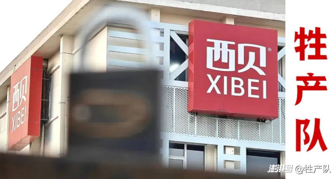 硬刚罗永浩一年后,西贝真的要破产了吗?