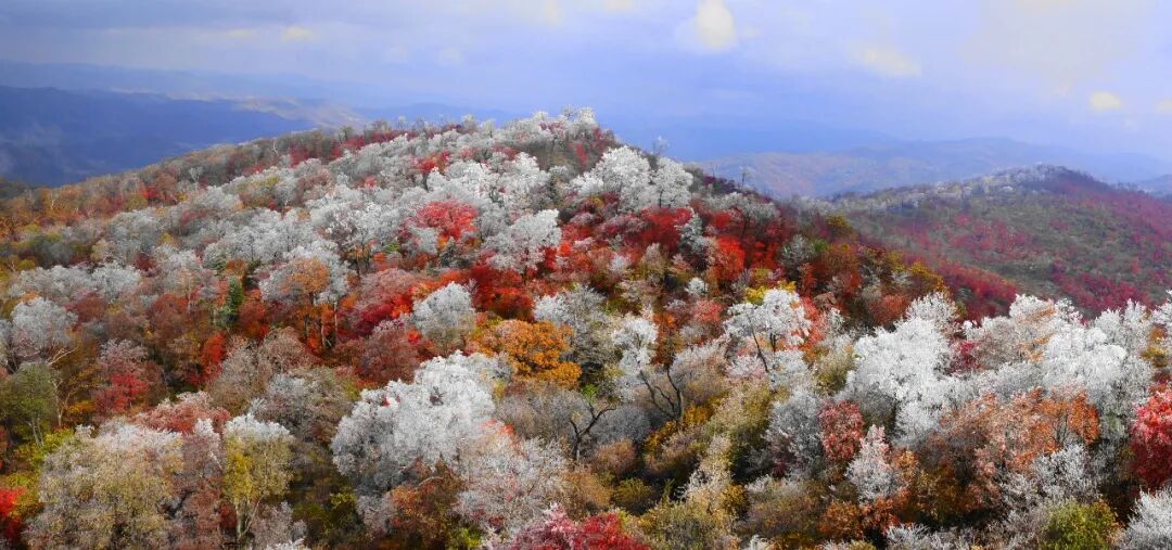 白山中秋一日游攻略：一条逛城区，一条赏秋山