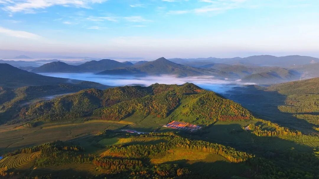 白山中秋一日游攻略：一条逛城区，一条赏秋山