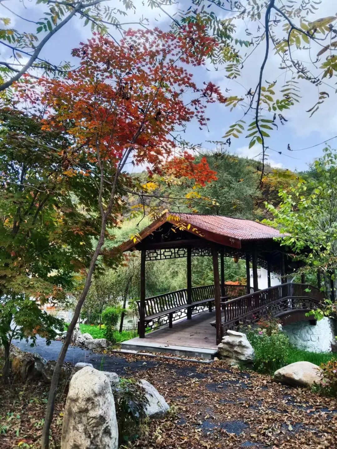 白山中秋一日游攻略：一条逛城区，一条赏秋山