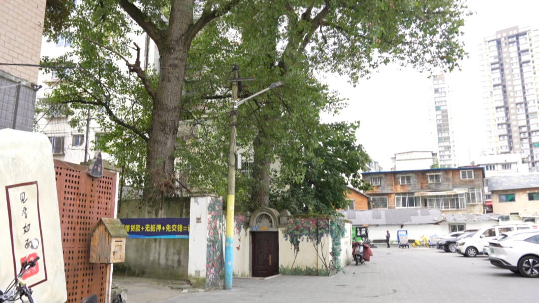 西秀区：路灯升级“焕新颜” 照亮居民“舒心路”