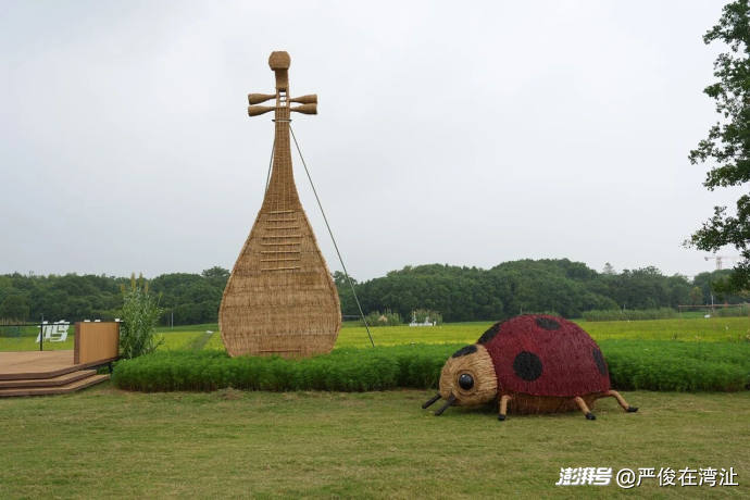解锁乡村新玩法,湾沚这场艺术节连玩13天不重样