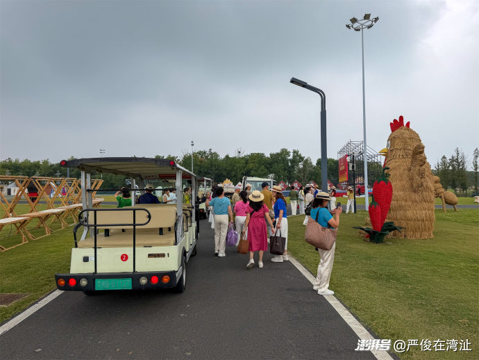 解锁乡村新玩法，湾沚这场艺术节连玩13天不重样