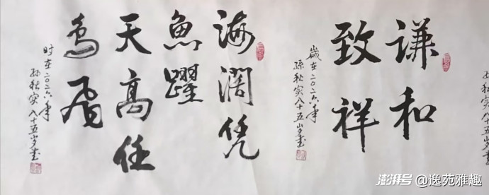 书法赏析丨翰墨抒怀，笔底风华——孙秋实书法赏析