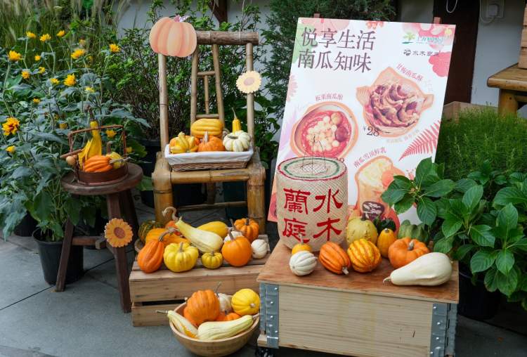 超1000个特色南瓜！上海植物园秋景上新，秋野南瓜派对来了