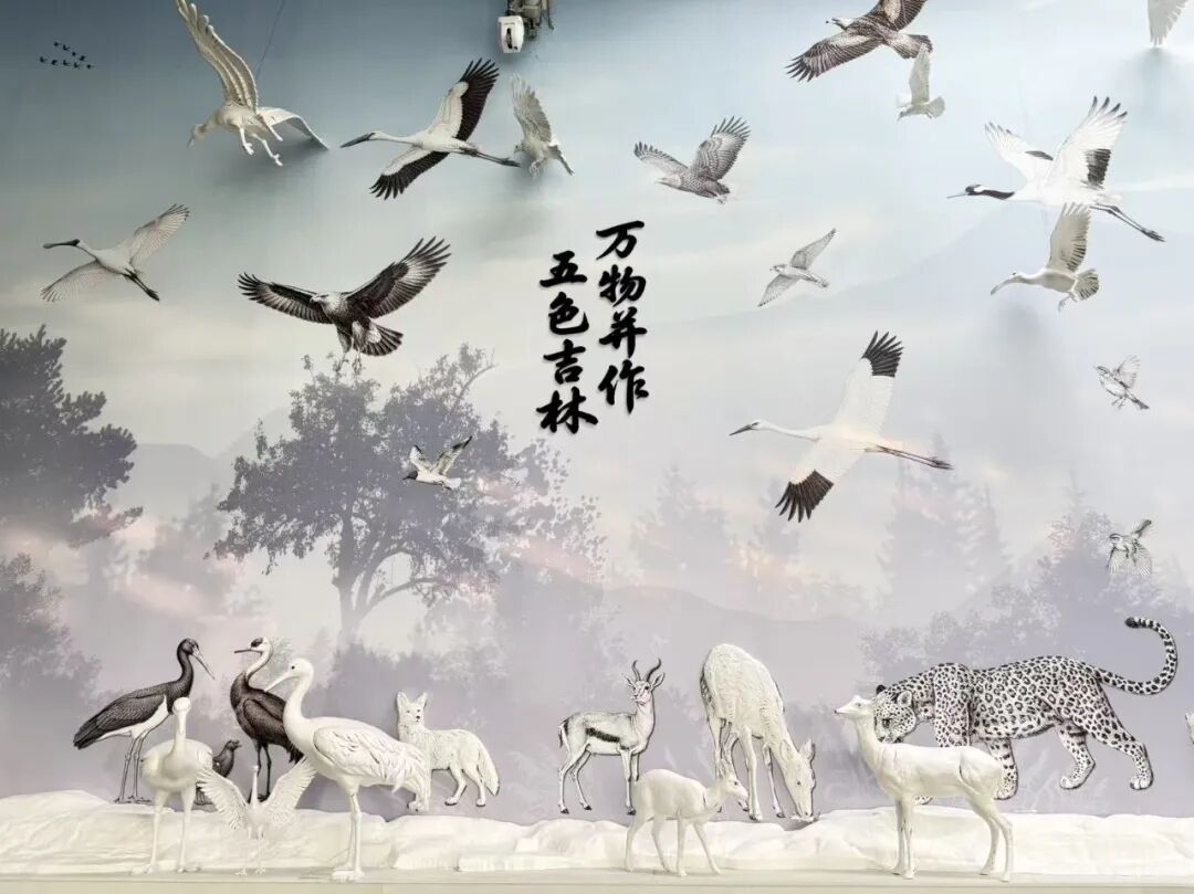 展览上新!扎堆儿涌现~只等您来