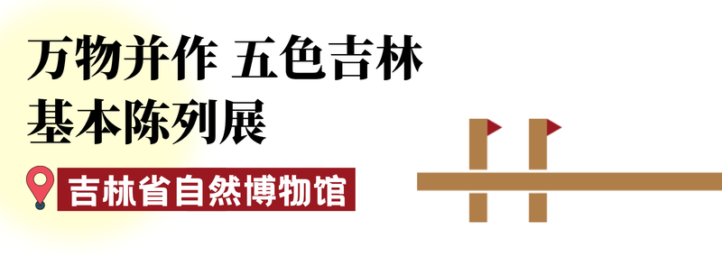 展览上新!扎堆儿涌现~只等您来