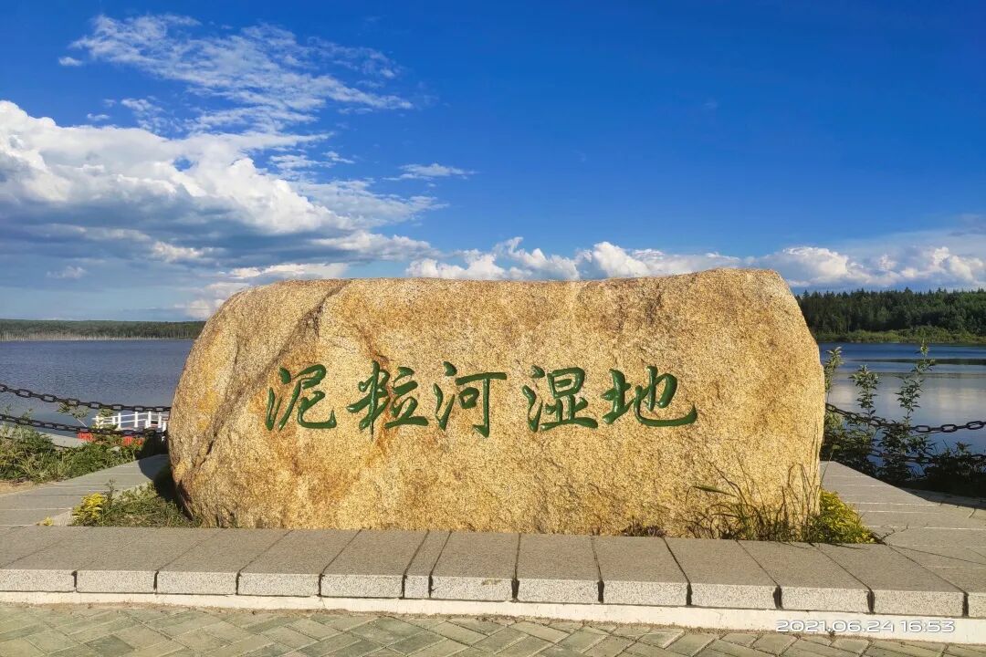 长白的秋,一半林海,一半湿地