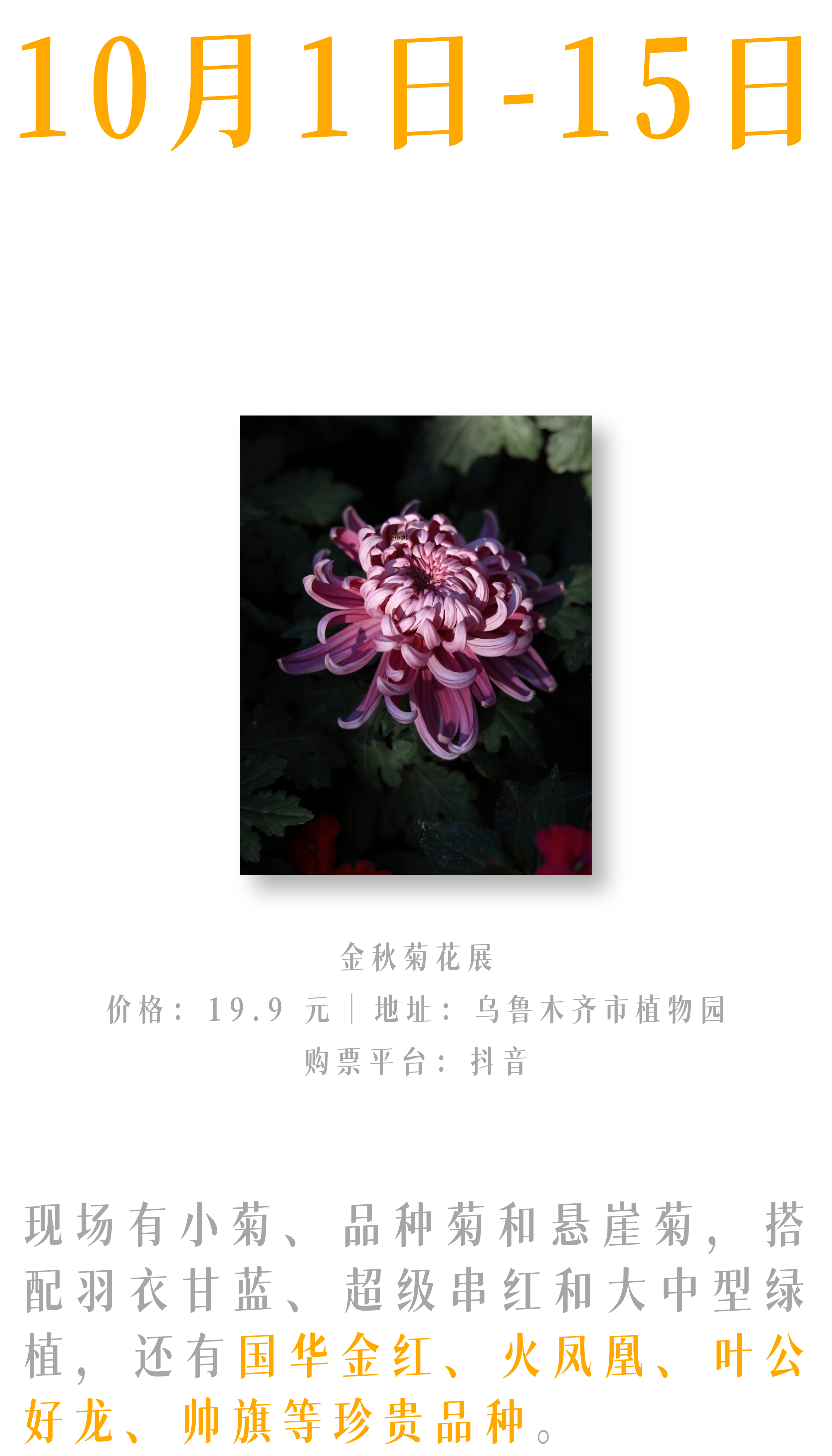 10月不出乌鲁木齐,这篇指南有你想要的一切