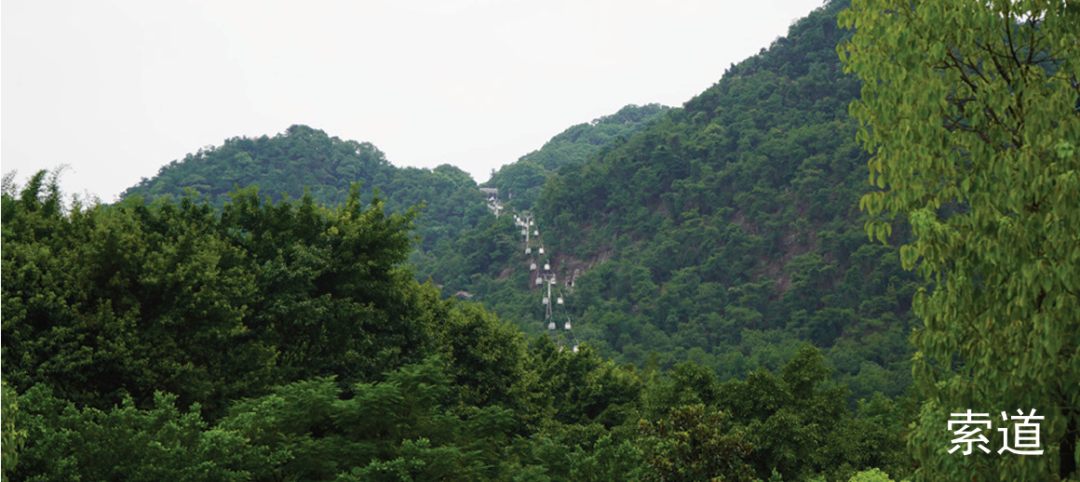 歌乐山5km环线徒步!山林、古迹、坐标原点一次打卡|国庆游沙磁