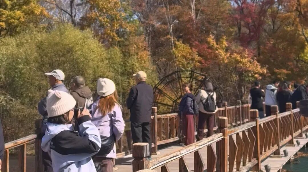 252.76万人次!白山国庆文旅“热力值”拉满