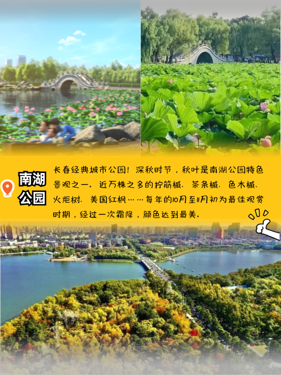 长春出品!荣获“星光奖”!春城动漫之旅走起~