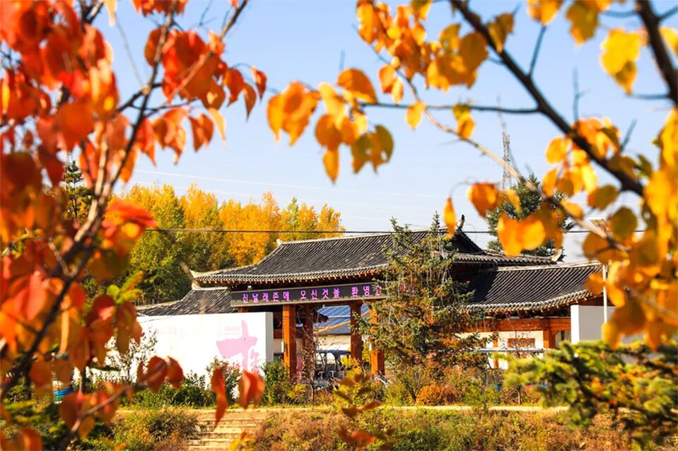 车山车海，只为这一眼延边秋色