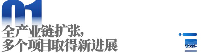 猫砂、宠粮、用品疯狂扩产,宠物制造业热起来了?