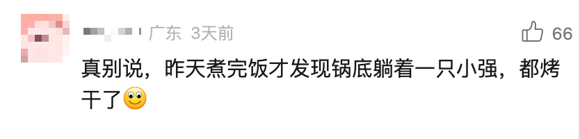 电饭煲这4个地方不洗，当心吃“蟑螂蒸饭”！！！