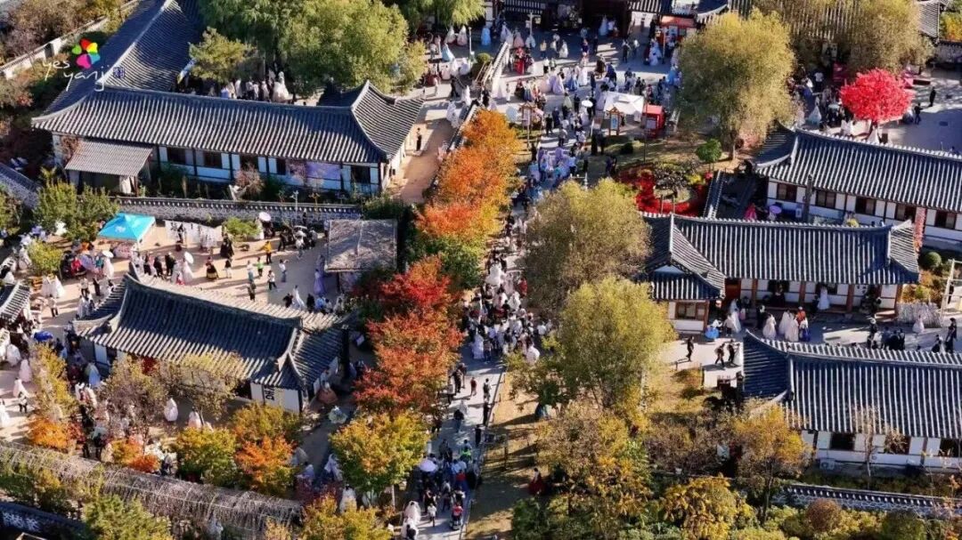 4条线路，拍尽延边秋色