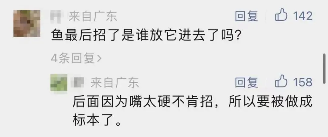 放生还是“放毒”？广州已明确：这些动物不能随便放生