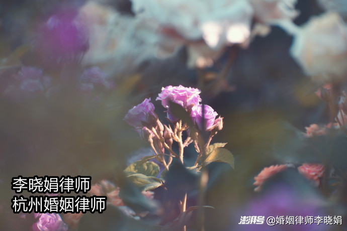 家族企业股东离婚,股权被配偶分割风险如何防范?