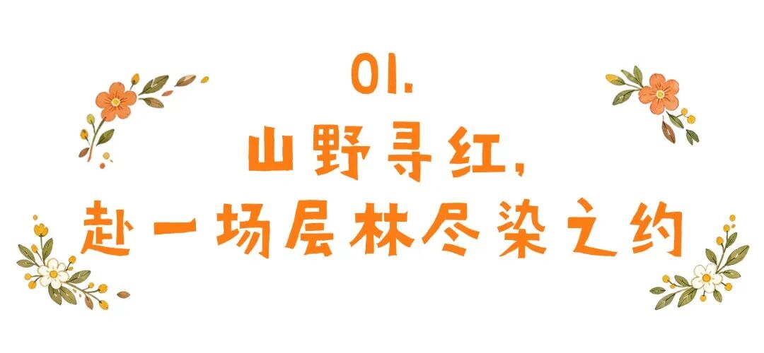 济南红叶蓄力中！收好这份攻略，静待万山流丹