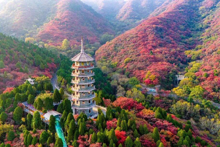 济南红叶蓄力中！收好这份攻略，静待万山流丹