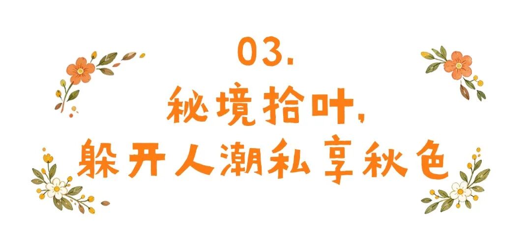 济南红叶蓄力中！收好这份攻略，静待万山流丹